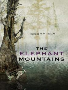 The Elephant Mountains Read online