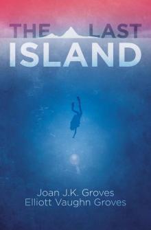 The Last Island Read online