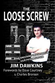 The Loose Screw Read online