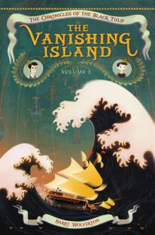 The Vanishing Island Read online