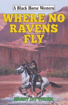 Where No Ravens Fly Read online