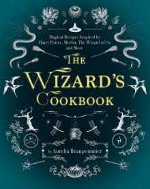 Wizard’s Cookbook Read online