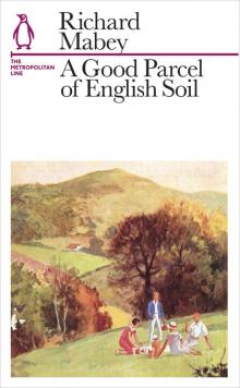 A Good Parcel of English Soil Read online