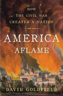 America Aflame Read online