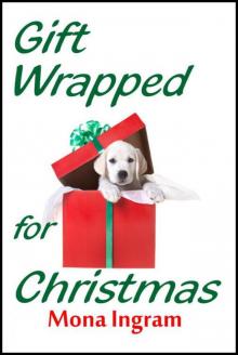 Gift Wrapped for Christmas: A Contemporary Romance Read online