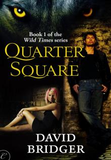 Quarter Square Read online