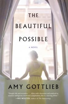 The Beautiful Possible Read online