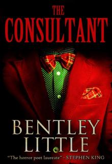 The Consultant Read online