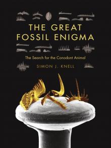 The Great Fossil Enigma Read online