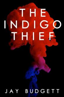 The Indigo Thief Read online