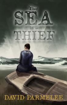 The Sea is a Thief Read online