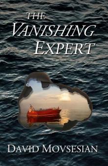 The Vanishing Expert Read online