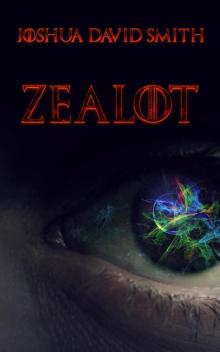 Zealot Read online