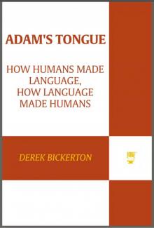 Adam's Tongue: How Humans Made Language, How Language Made Humans Read online