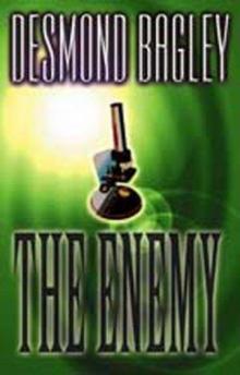 Bagley, Desmond - The Enemy Read online