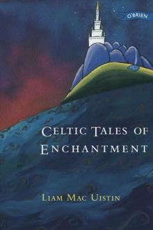 Celtic Tales of Enchantment Read online