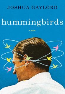 Hummingbirds Read online