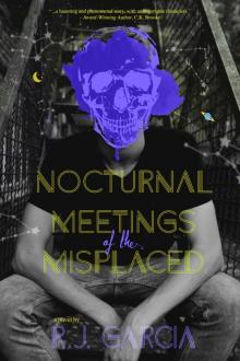 Nocturnal Meetings of the Misplaced Read online