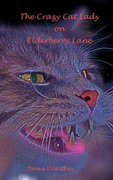The Crazy Cat Lady on Elderberry Lane Read online