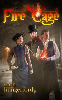 The Fire Cage Read online