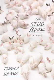 The Stud Book Read online