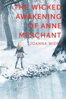 The Wicked Awakening of Anne Merchant Read online