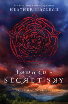 Toward a Secret Sky Read online