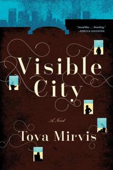 Visible City Read online