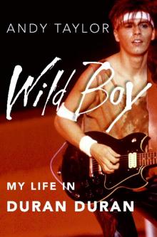 Wild Boy Read online