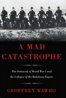 A Mad Catastrophe Read online