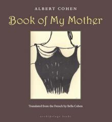Book of My Mother Read online