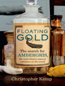 Floating Gold Read online