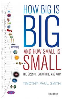 How Big is Big and How Small is Small Read online