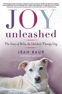 Joy Unleashed Read online