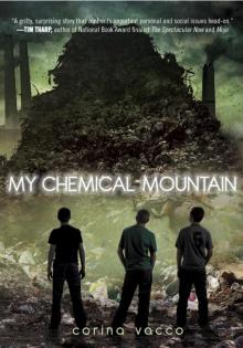 My Chemical Mountain Read online