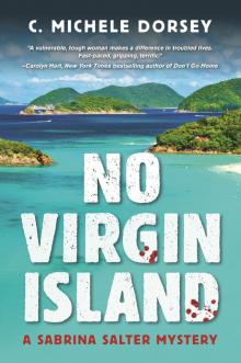 No Virgin Island Read online