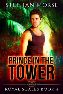 Prince in the Tower Read online