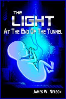 The Light at the End of the Tunnel Read online