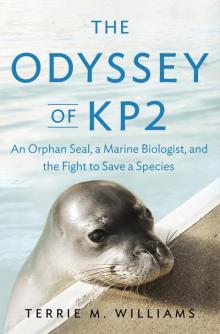 The Odyssey of KP2 Read online