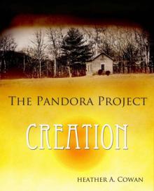 The Pandora Project Read online
