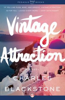 Vintage Attraction Read online