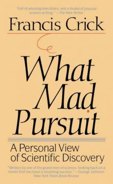 What Mad Pursuit Read online