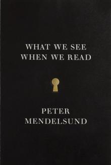 What We See When We Read (9780804171649) Read online