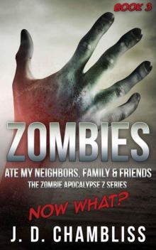 Zombies Ate My Neighbors, Family & Friends (Book 3) Read online