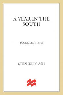 A Year in the South Read online