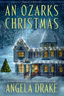 An Ozarks Christmas (Planned to Perfection Book 1) Read online
