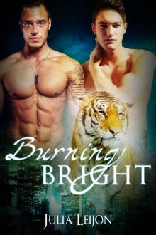 Burning Bright: A Spicy M/M Weretiger Heist Romance Read online