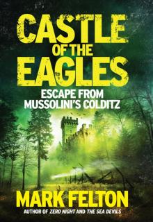 Castle of the Eagles Read online