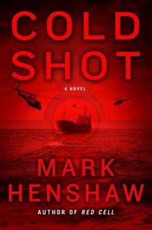 Cold Shot: A Novel Read online