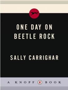 One Day On Beetle Rock Read online